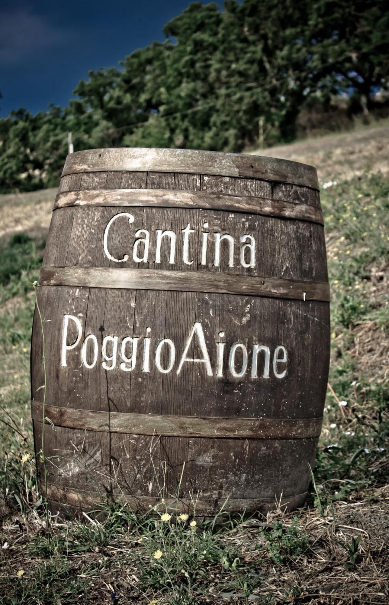 Country House Poggio Aione Catabbio Exterior foto