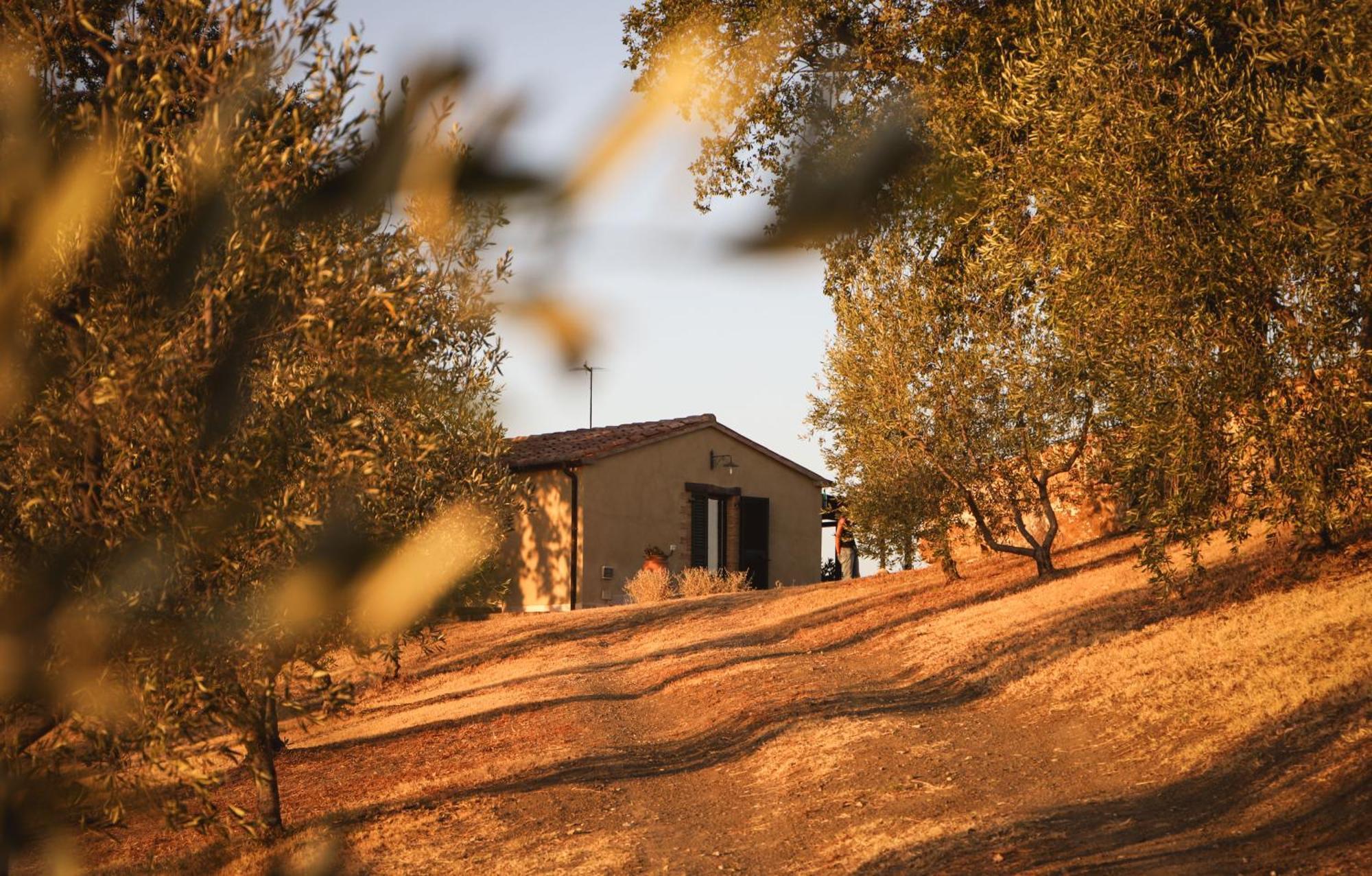 Country House Poggio Aione Catabbio Exterior foto